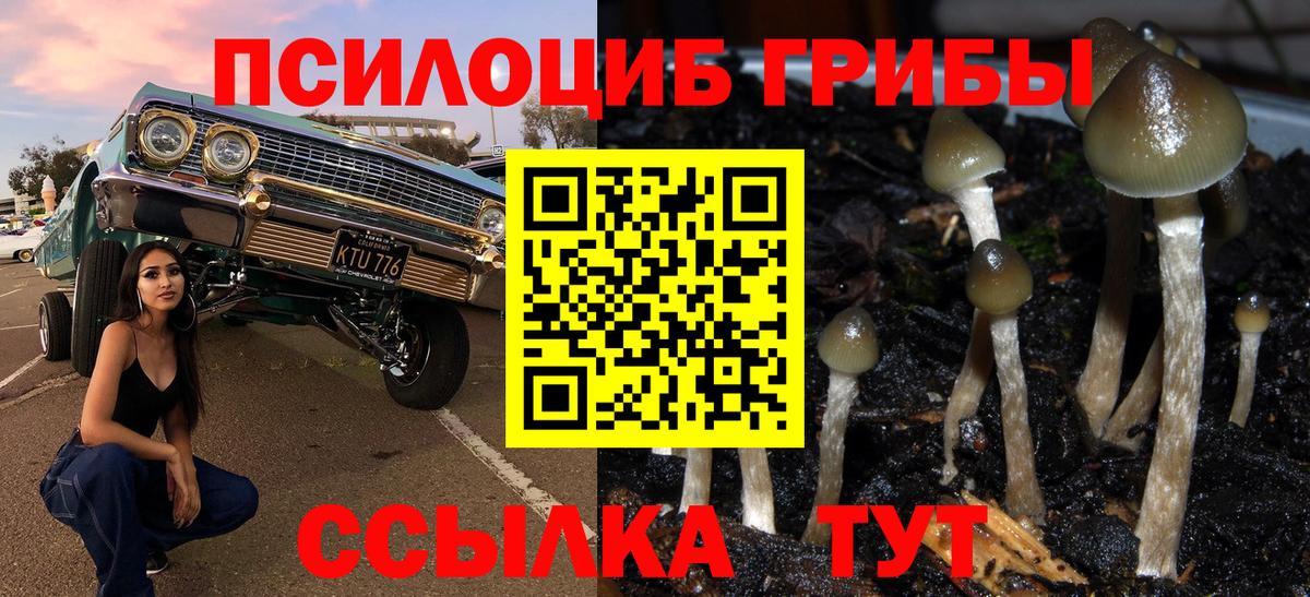 Галлюциногенные грибы прущие грибы Каменск-Уральский