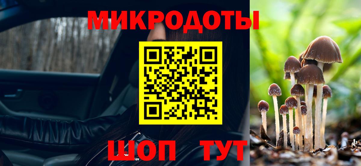 Псилоцибиновые грибы Psilocybine cubensis  Вход с VPN  Каменск-Уральский 